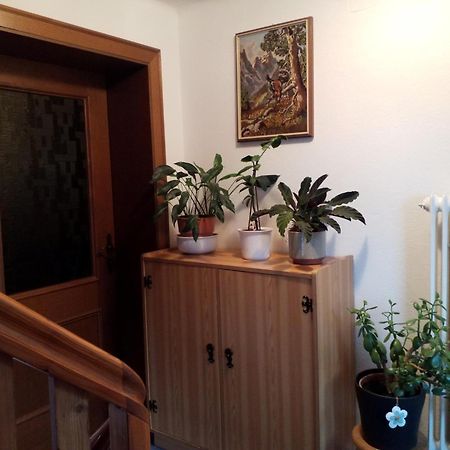 Haus Hubertusheim Apartment Schladming Luaran gambar