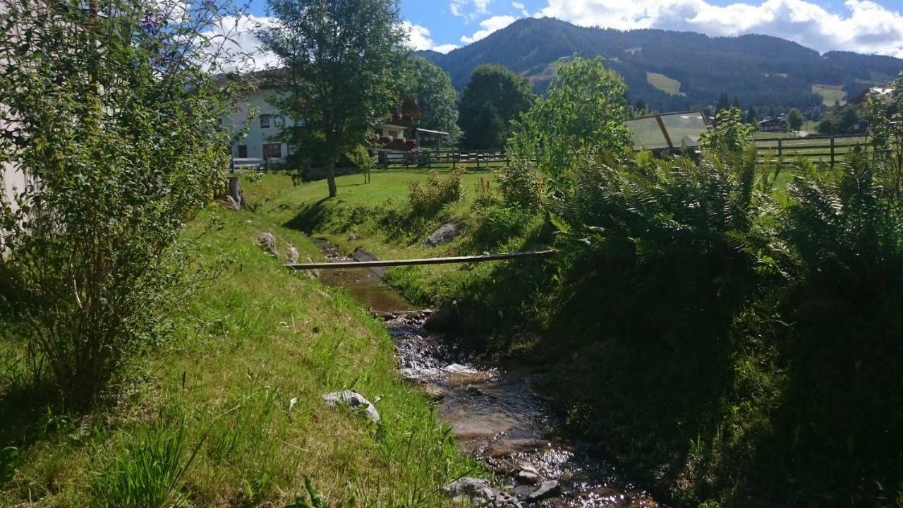 Haus Hubertusheim Apartment Schladming Luaran gambar